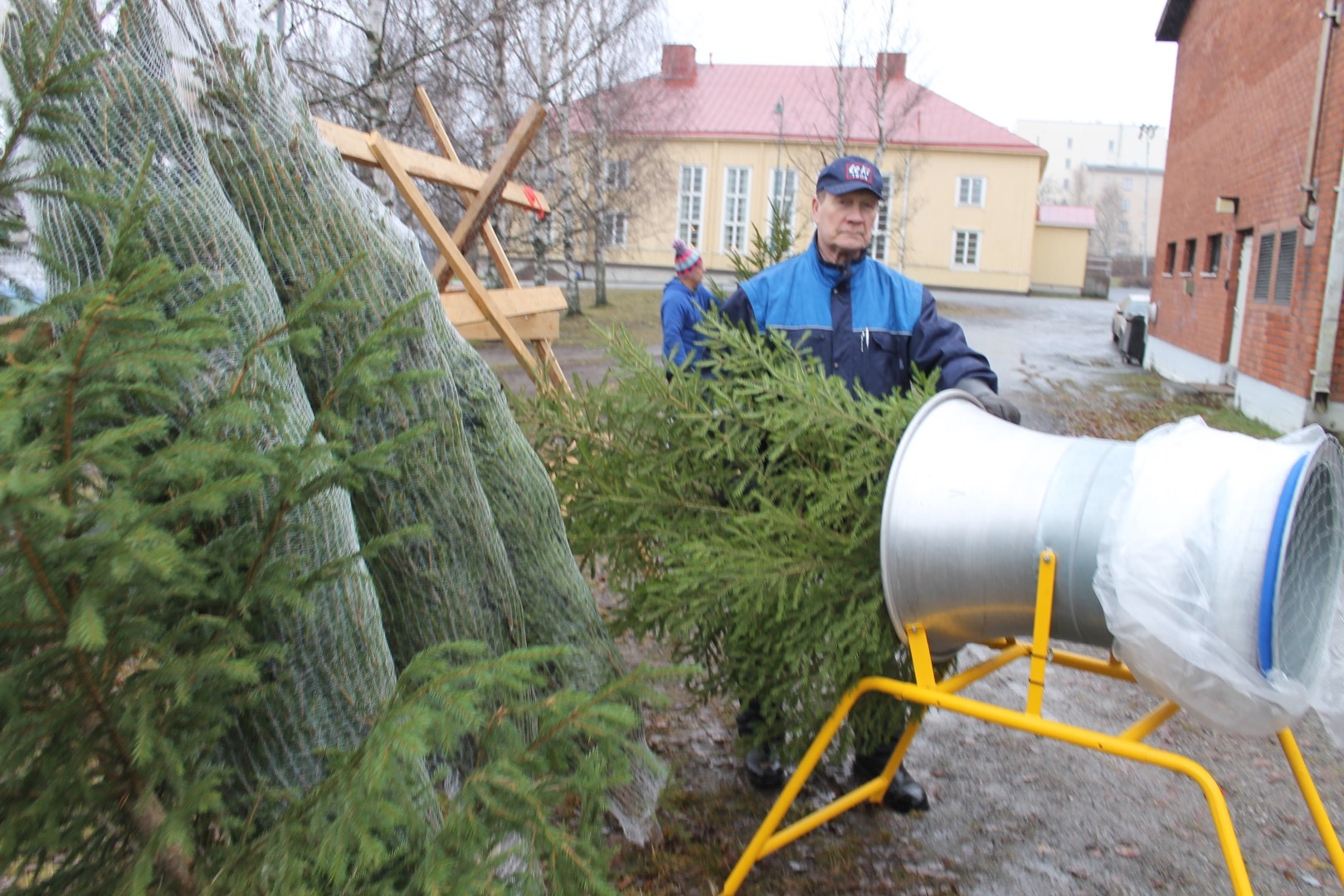 ​Hiihdon joulukuusia Manttaalitalolta 16.-23.12.