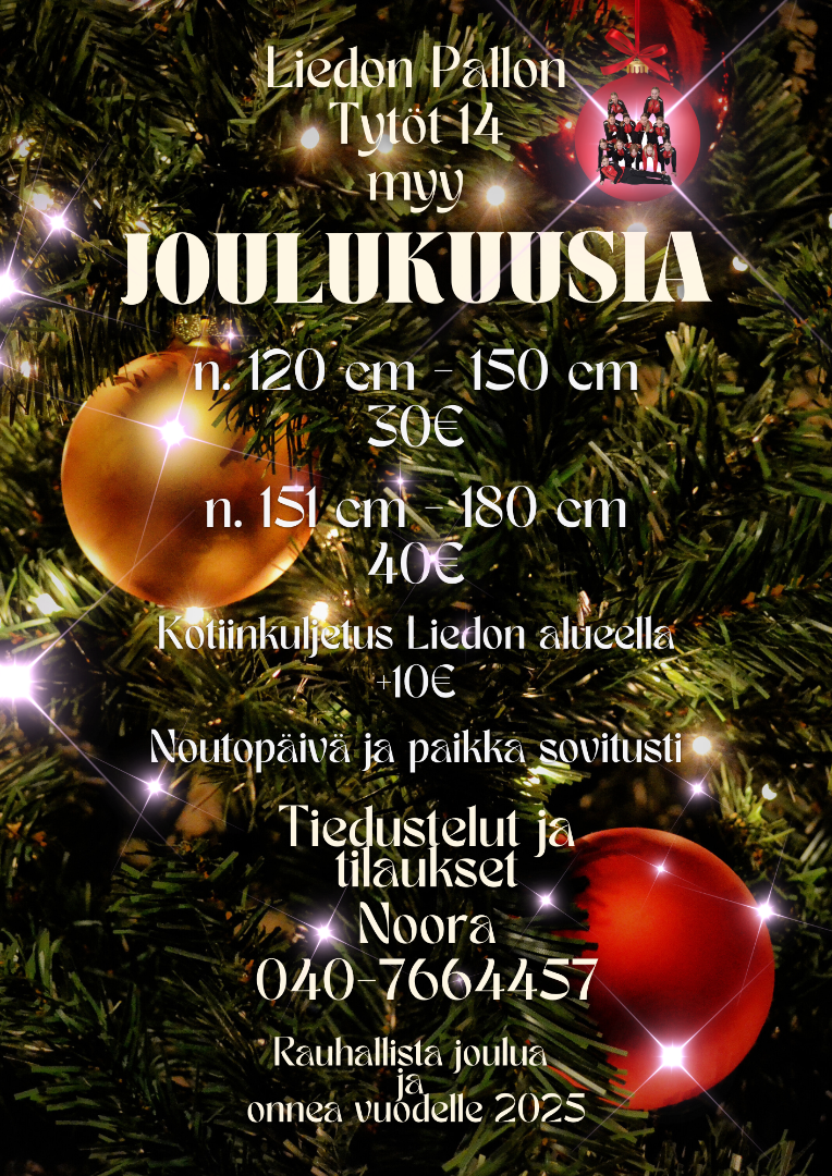 Joulukuusiostoksille