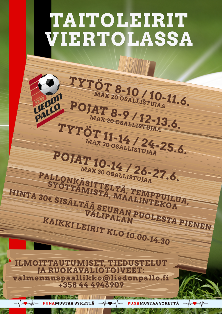 Taitoleirit Viertolassa!