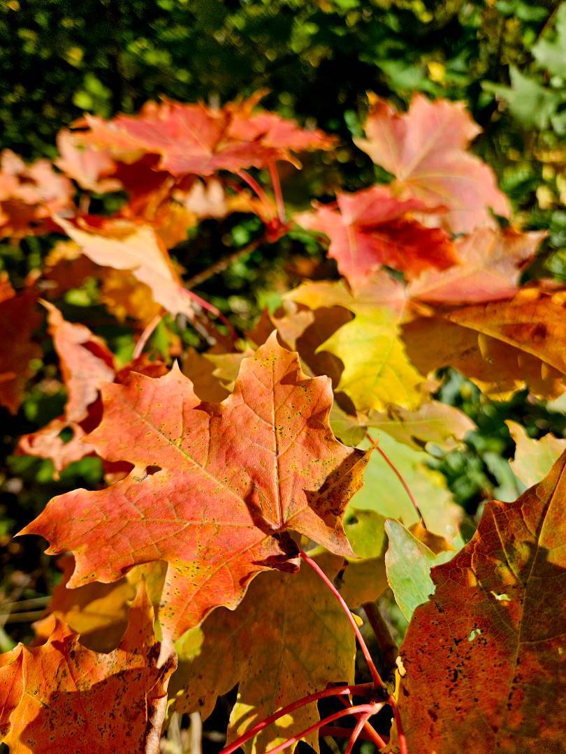 Syksyinen veraspelimatka Tampereelle 17.10.25