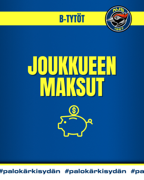 Joukkueen maksut