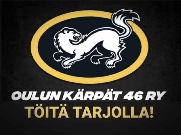 Naisten Liigan päätoiminen vastuuvalmentaja