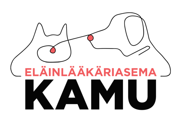 Kamu