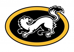Kärpät B kesäharjoitusryhmä 2015-2016