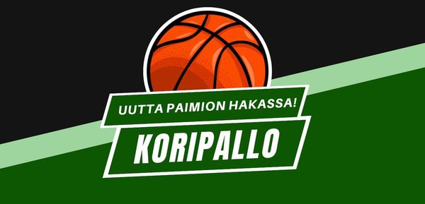 Koripalloa Paimion Hakassa!