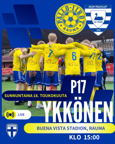 Joutsenet laskeutuvat Raumalle