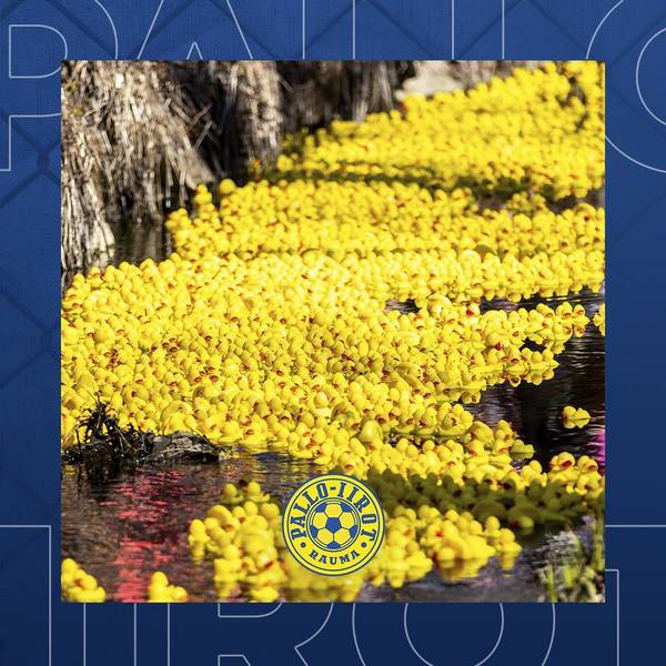 Pallo-Iirojen perinteinen ankanuitto täyttää Raumanjoen vappuna