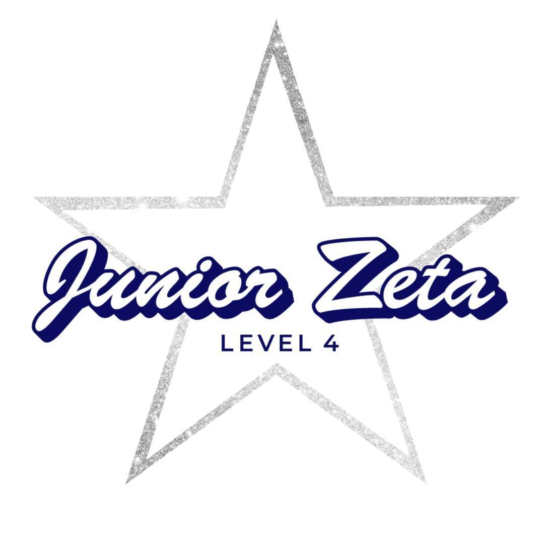 JUNIOR ZETA INFO