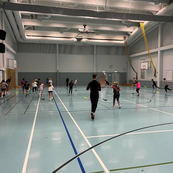 Pelicans SB liikutti junioreita Ahtialan koululla