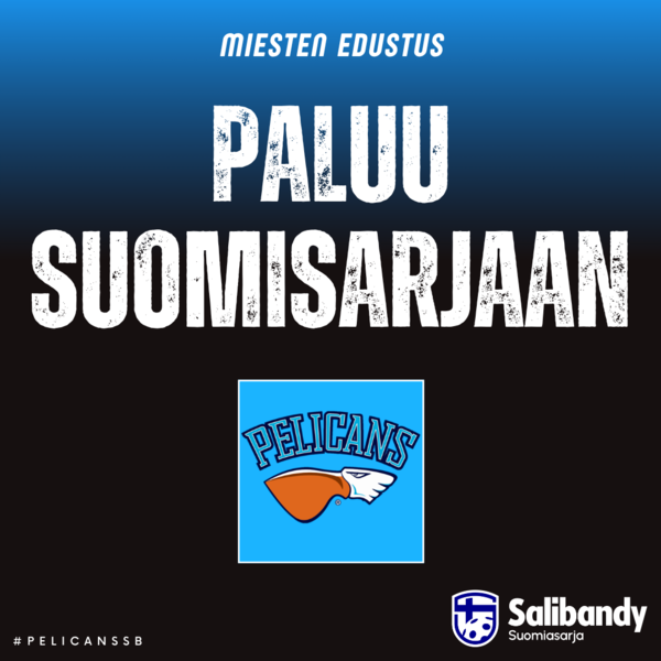 Paluu Suomisarjaan