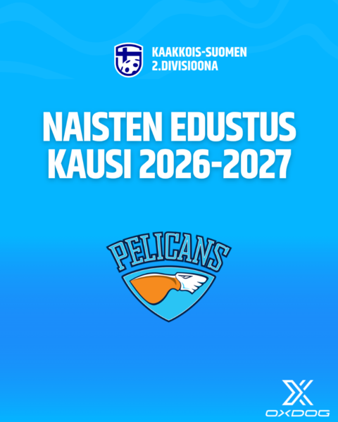 Naisten edustuksella tavoitteena nousu Suomisarjaan
