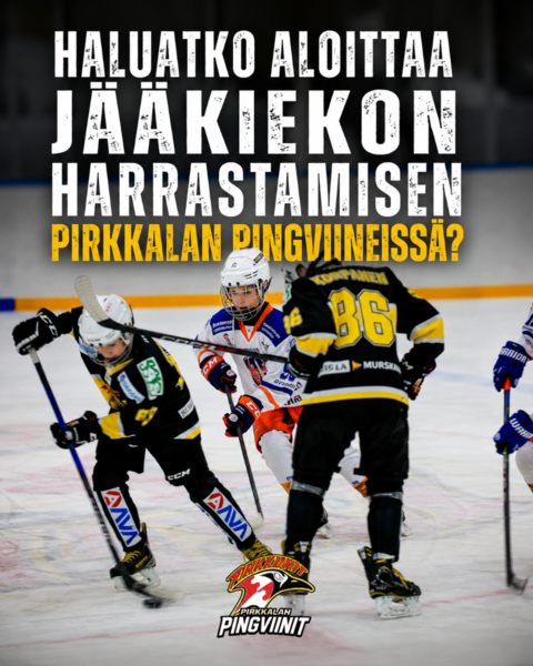 Haluatko aloittaa jääkiekon harrastamisen Pirkkalan Pingviineissä?