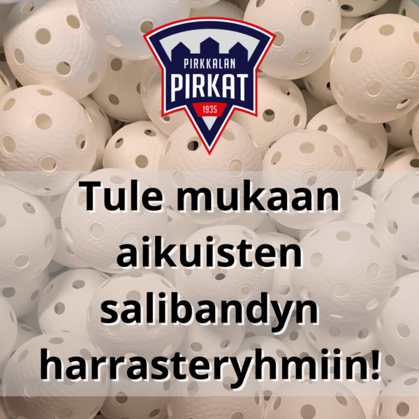 Tule mukaan aikuisten säbäharrasteryhmiin!