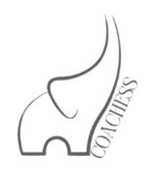 Coachess Essi Paulamäki (y-tunnus 2424035-9)