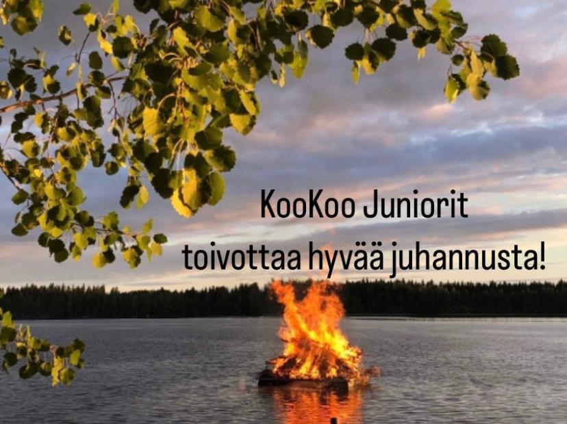 Hyvää juhannusta!