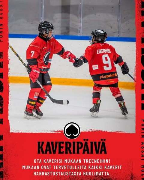 Kaveripäivät
