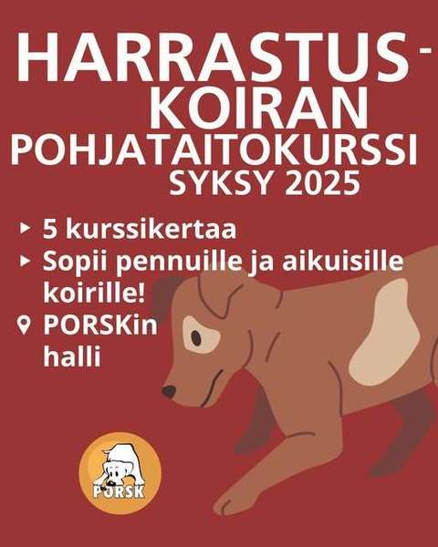 Harrastuskoiran pohjataito kurssi 26.9., 10.10., 24.10., 7.11. ja 21.11