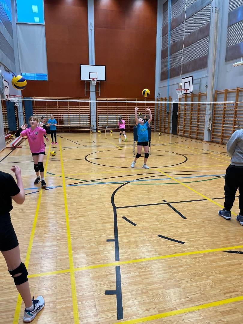 PuMalle kesätyöntekijöitä
