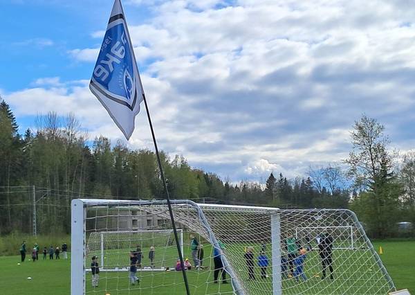 Iloinen meininki