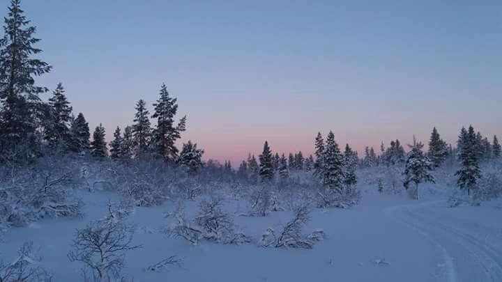 Saariselän hiihtoleiri 1.12.2017-9.12.2017