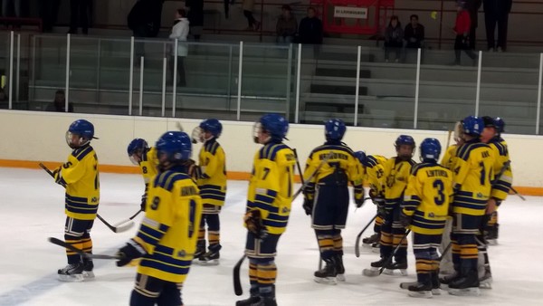SU 4.10 Astora Areenalla tiedossa tiukka taistelu D2 Ässät Kings - Lukko Team-03