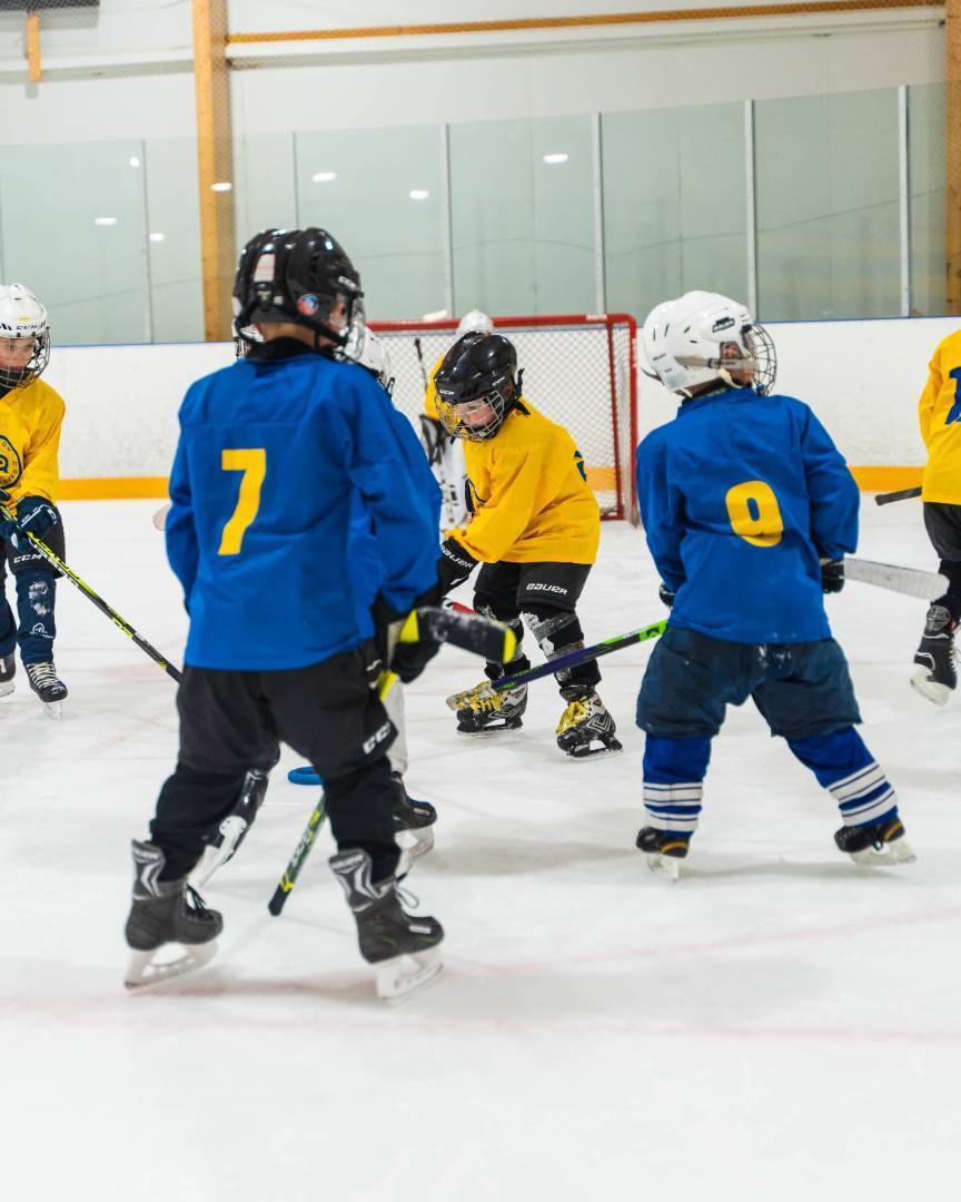 Leijonakiekkokoulu alkaa 1.9.