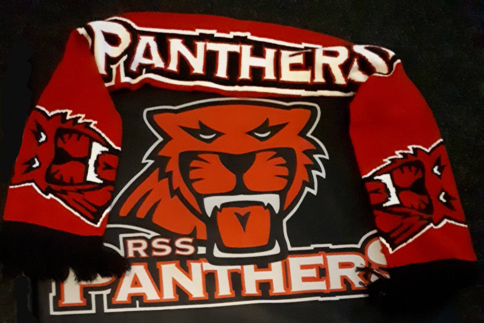 RSS Panthers P05 käynnistelee tulevaa kautta ja hakee myös uusia pelaajia