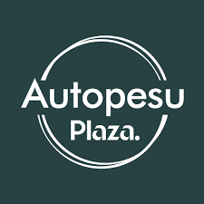 Autopesu Plaza
