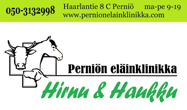 Hirnu & Haukku