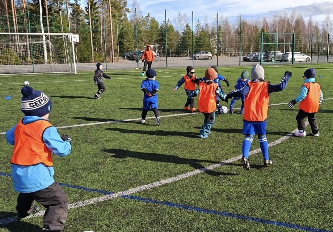 Pallokoulun kevät