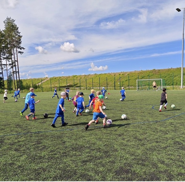 Pallokoulu jää pienelle kesätauolle!