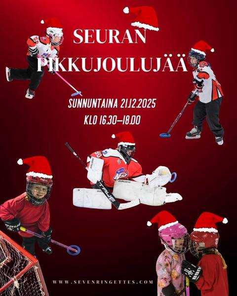Seuran pikkujoulujää