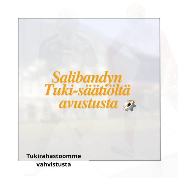 Steelers-tukirahastoon lisätukea