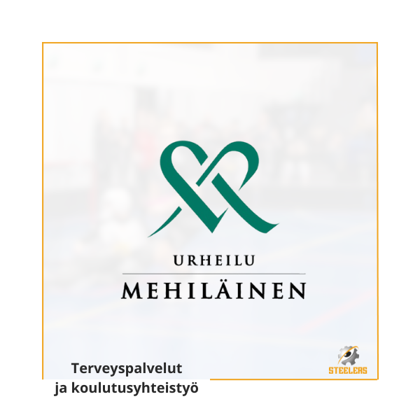 Steelers x Mehiläinen