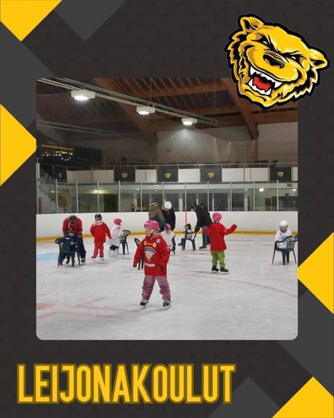Leijonakoulut ovat startanneet!