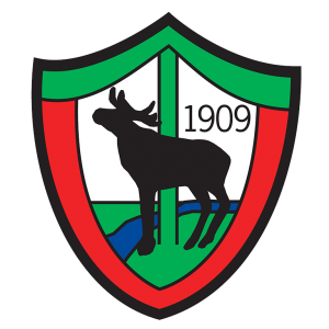 Bingo alkaa jälleen