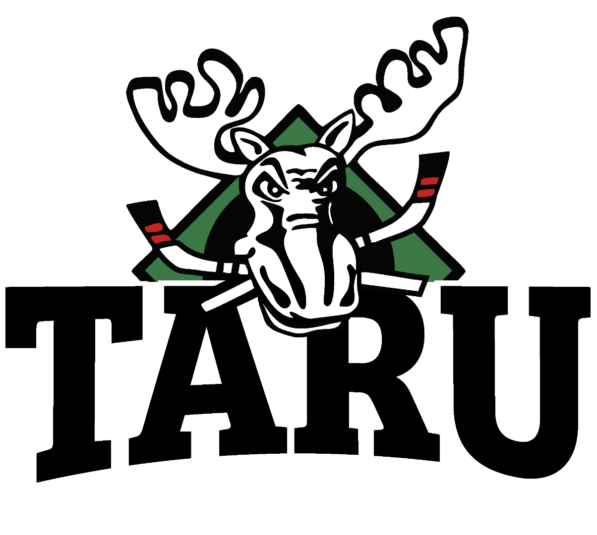 TarU Hockey U9-2018 joukkue perustettu!