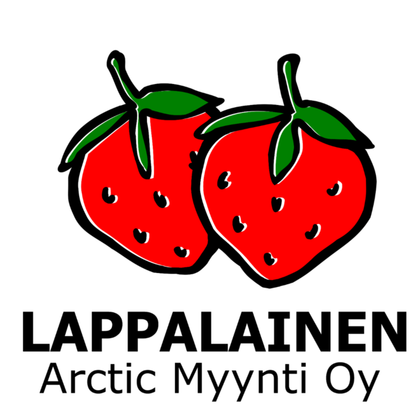 Arctic Myynti Oy