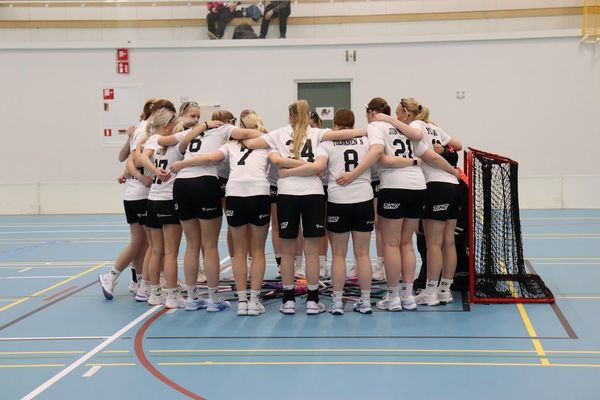 T18 SB-Pron vieraana