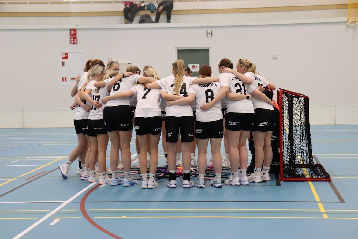 T18 SB-Pron vieraana