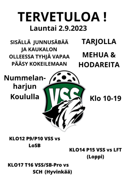 VSS-Päivä on ovella!