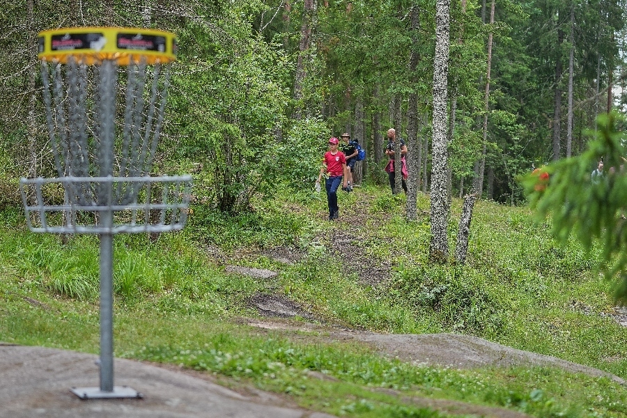 WDG etsii kesätyöntekijöitä!