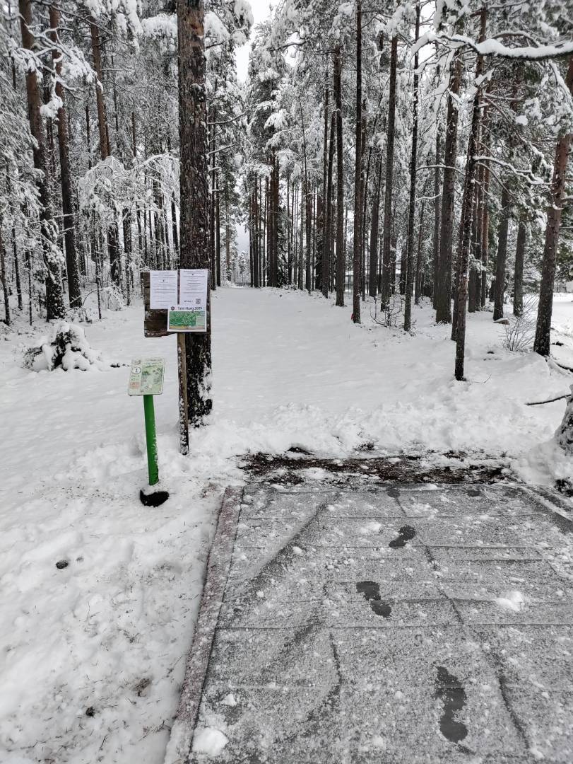 Sorkin radalle asennettu talvipressut
