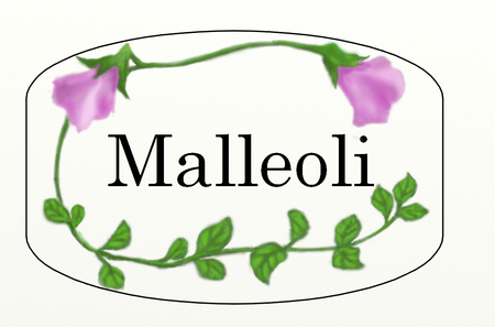 Malleoli