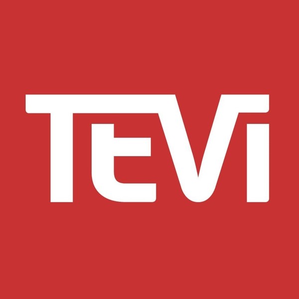 Tevi Systems Oy