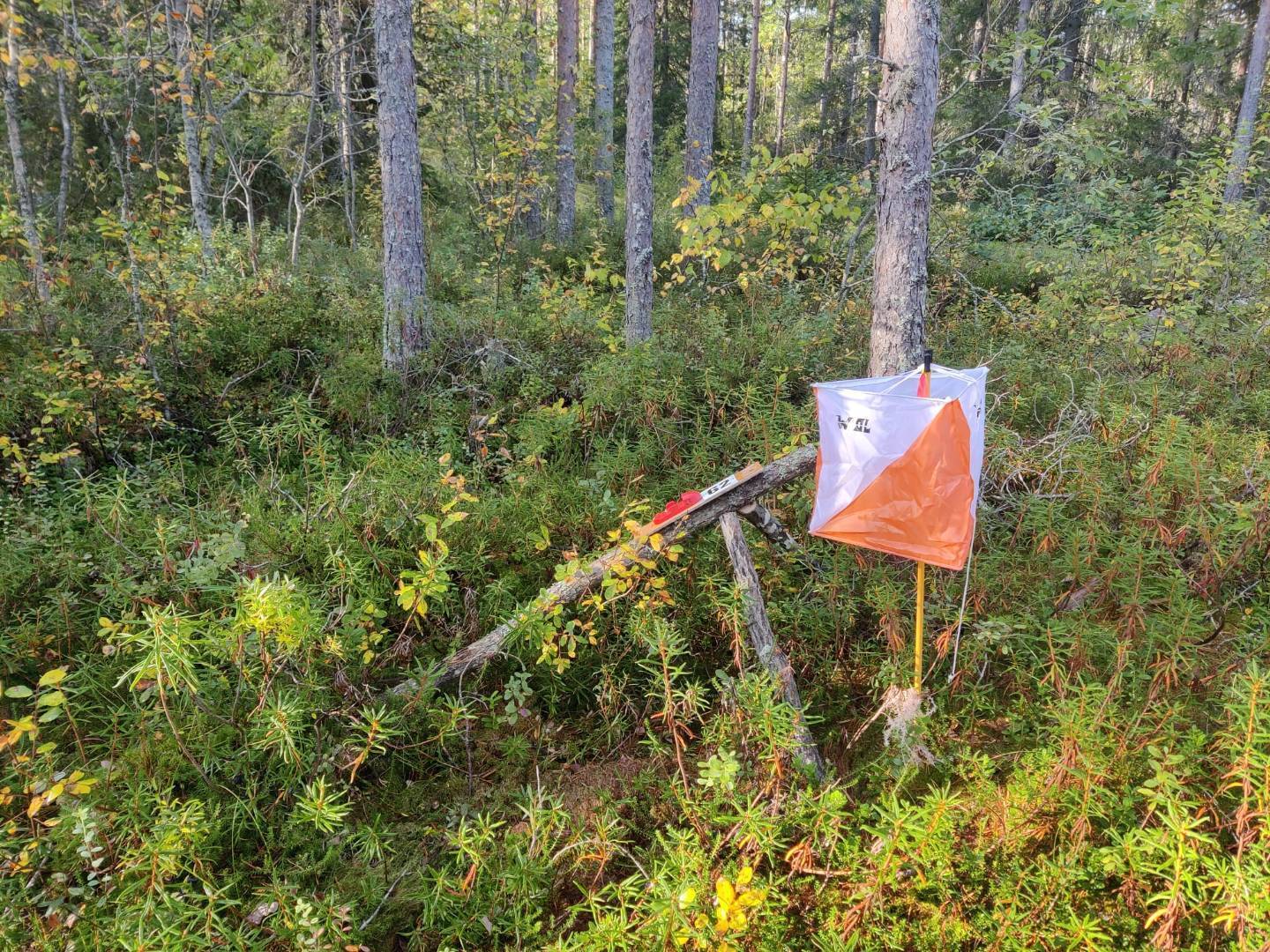 KUULAN PARIVIESTI - Samuli Törmälän muistokilpailu 9.6.2026