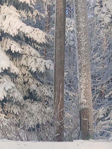 Huhmarin säilölumilatu 2025 maksullisuus