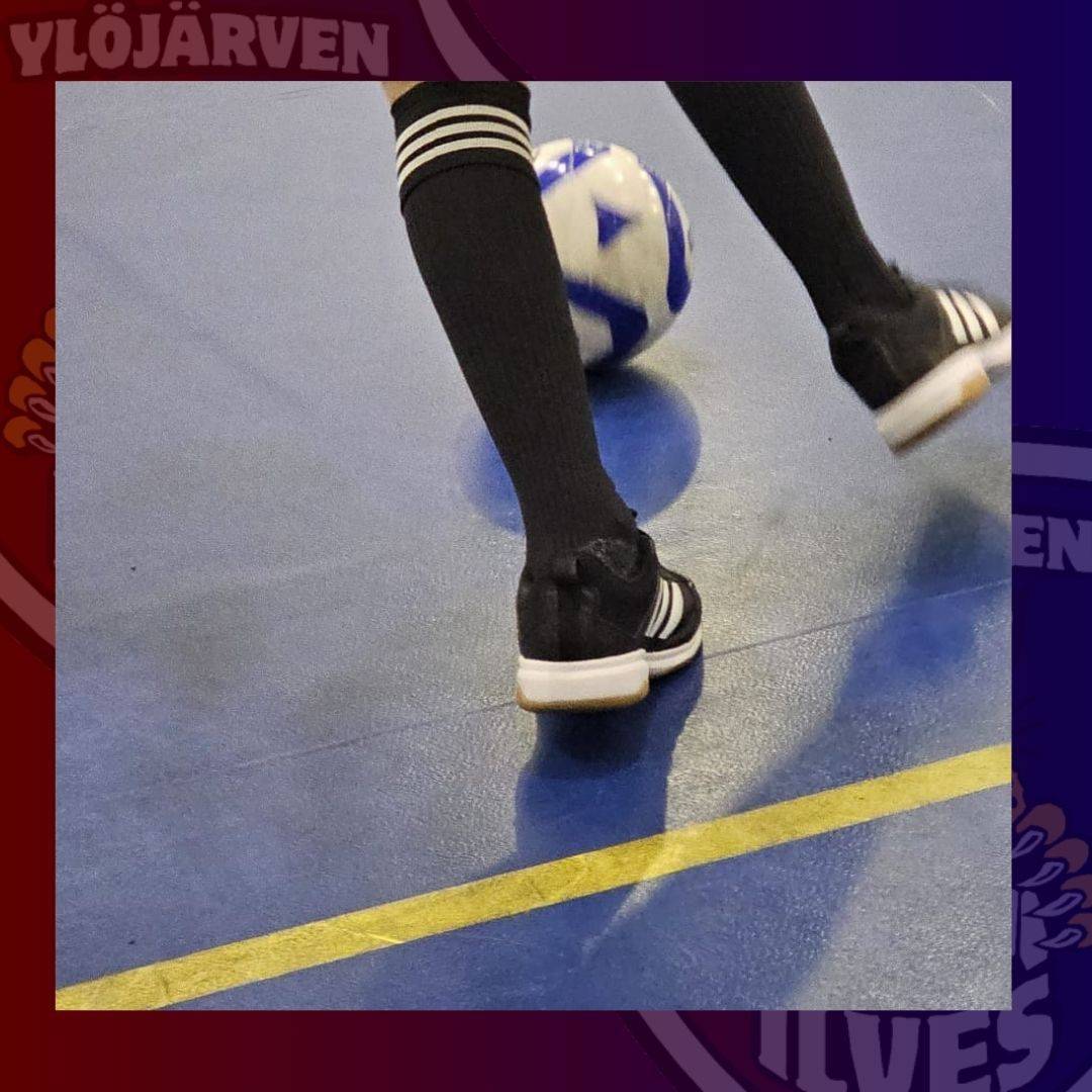 Talvikauden harrasteryhmät